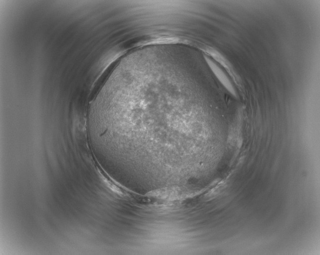 X0000066011193200603171458