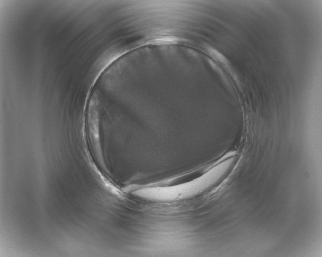 X0000066011194200603171458