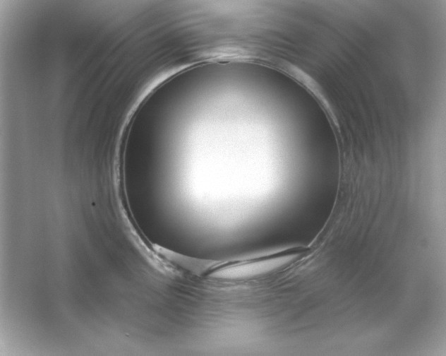 X0000066011195200603171458