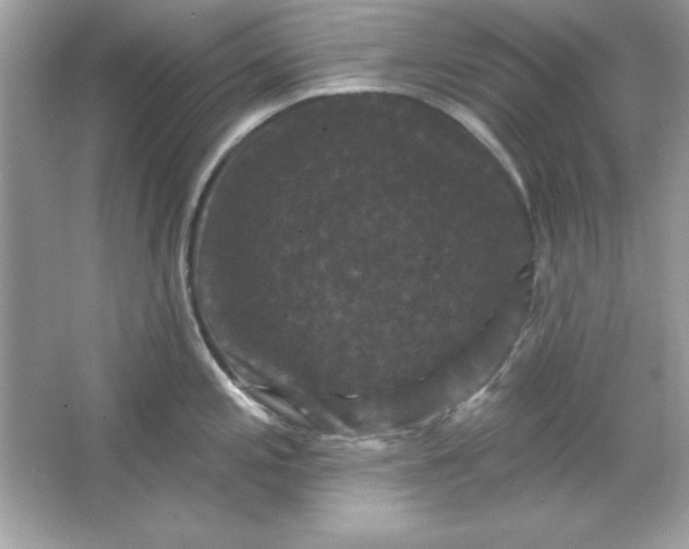 X0000066011197200603171458