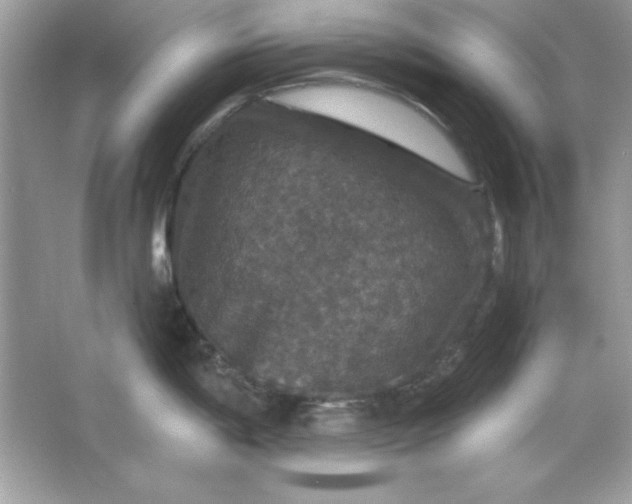 X0000066011198200603171458