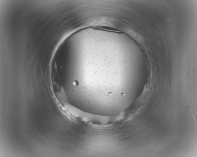 X0000066011200200603171457