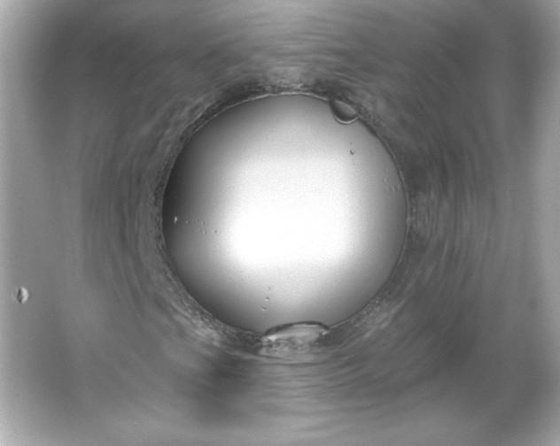 X0000066011201200603171457