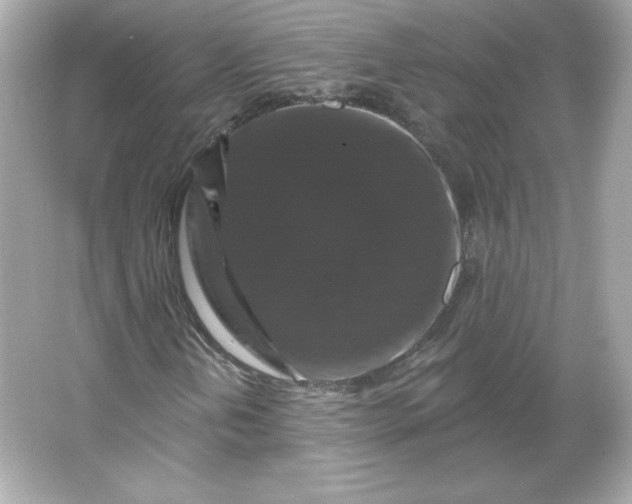 X0000066011202200603171457