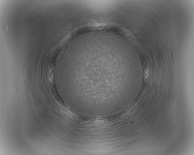 X0000066011204200603171457