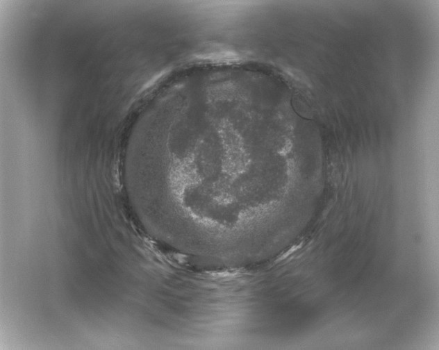 X0000066011205200603171457