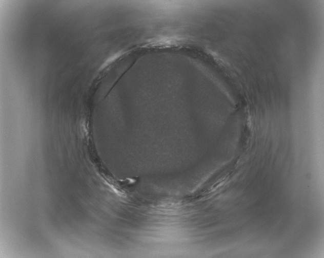 X0000066011206200603171457