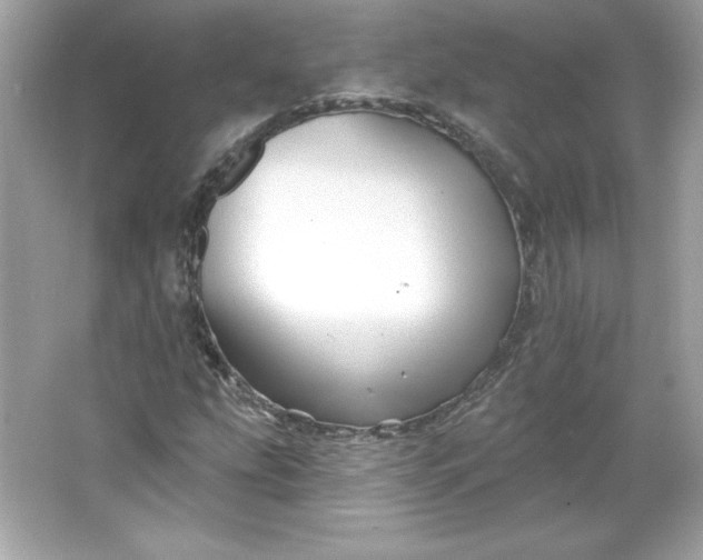 X0000066011207200603171457