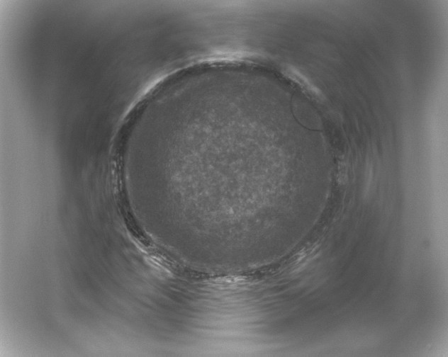 X0000066011208200603171457