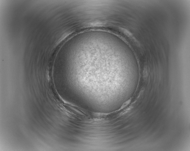 X0000066011209200603171457