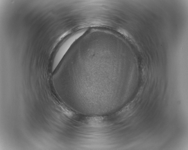 X0000066011210200603171457