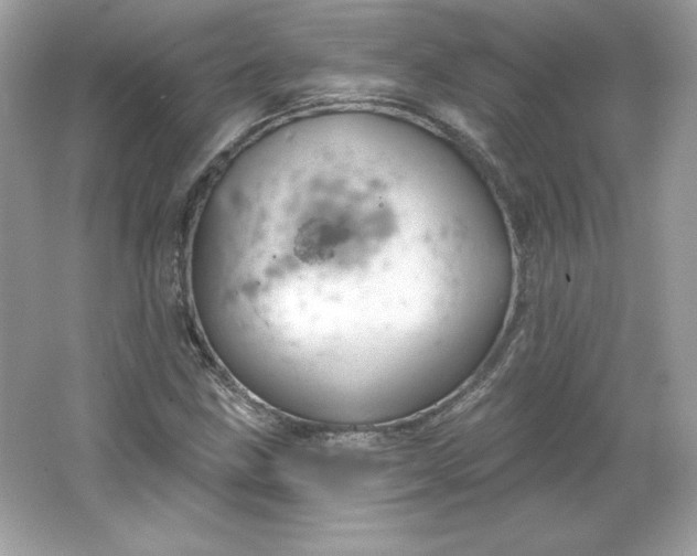 X0000066011211200603171457