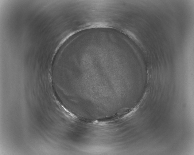 X0000066011212200603171457