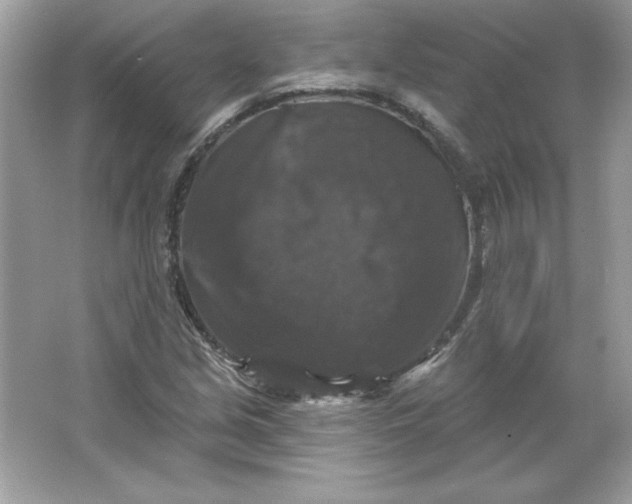 X0000066011213200603171457