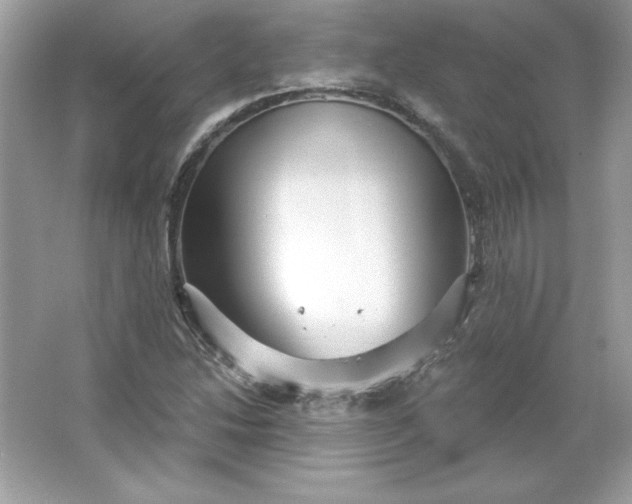 X0000066011214200603171457