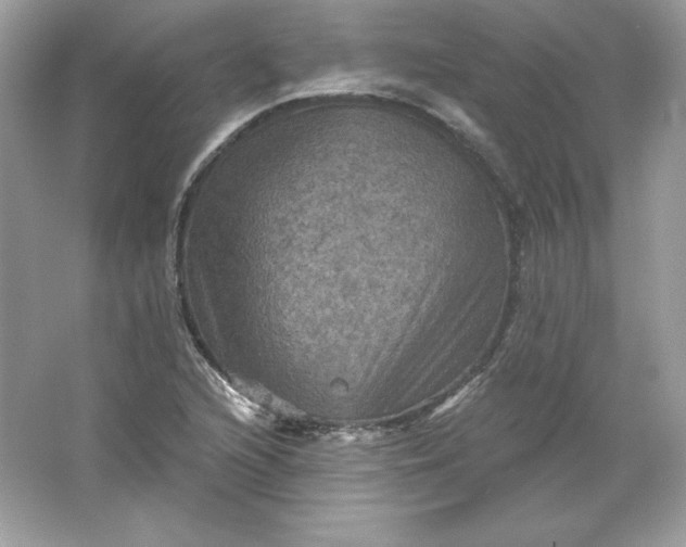 X0000066011216200603171457