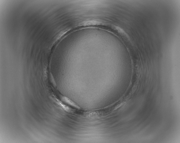 X0000066011217200603171457