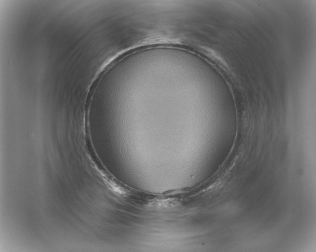 X0000066011220200603171457