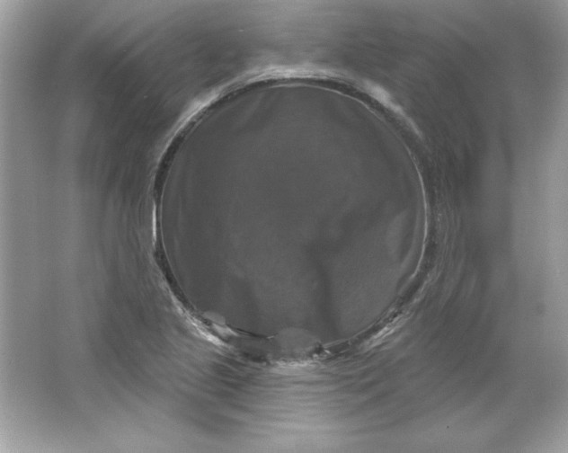 X0000066011221200603171457