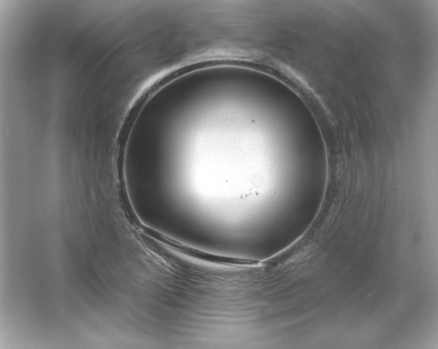 X0000066011222200603171457