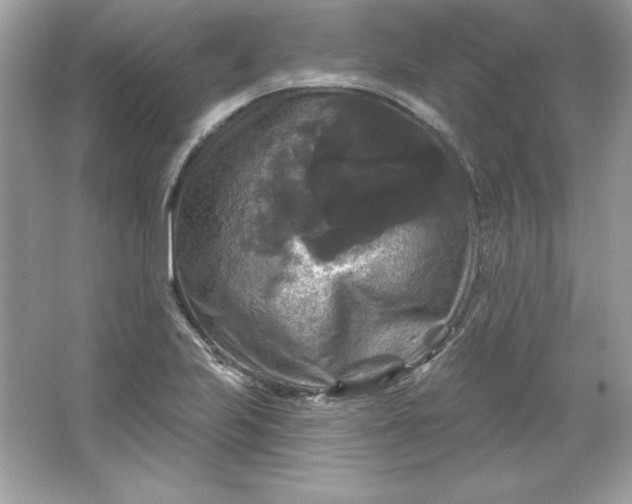 X0000066011223200603171457