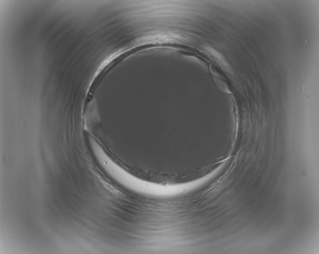 X0000066011226200603171457