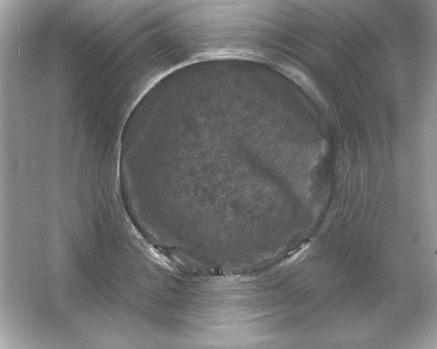 X0000066011228200603171457