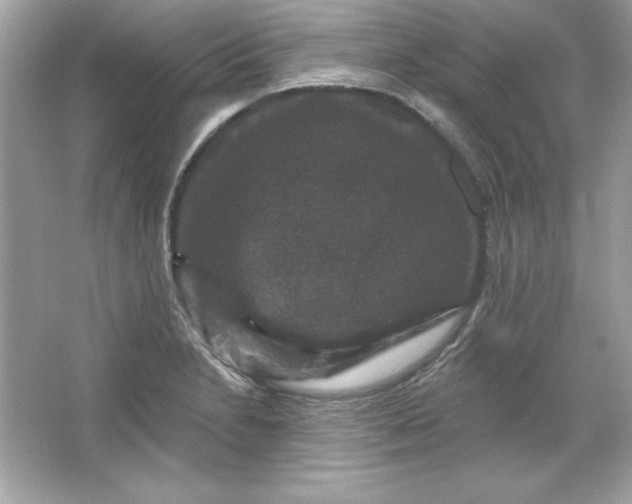 X0000066011230200603171457