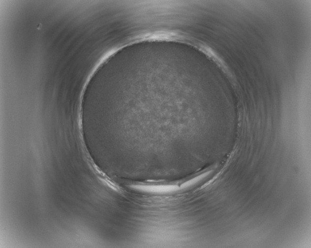 X0000066011232200603171457