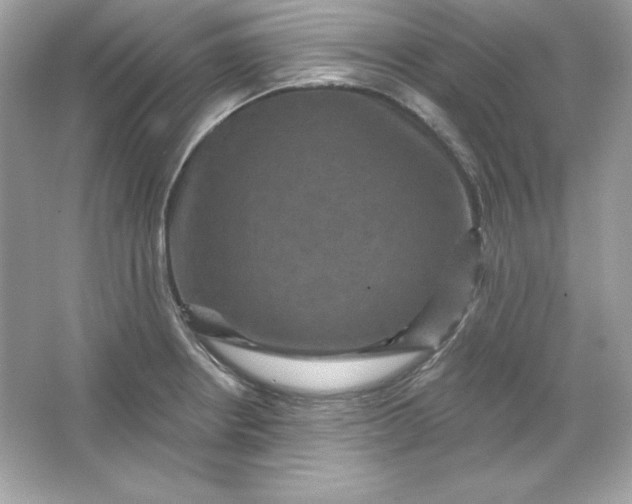 X0000066011234200603171457