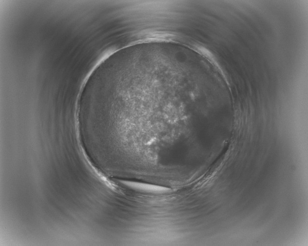 X0000066011235200603171457