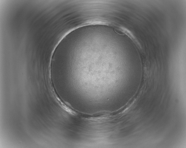 X0000066011236200603171457