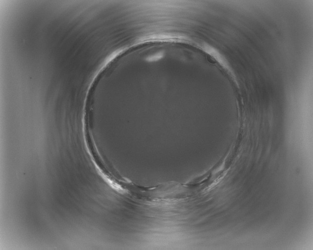 X0000066011237200603171457