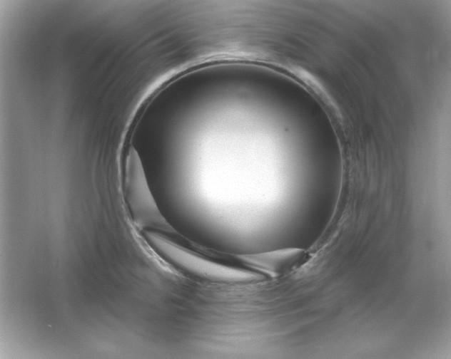 X0000066011238200603171457