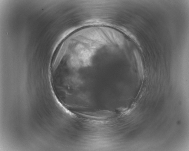 X0000066011239200603171457