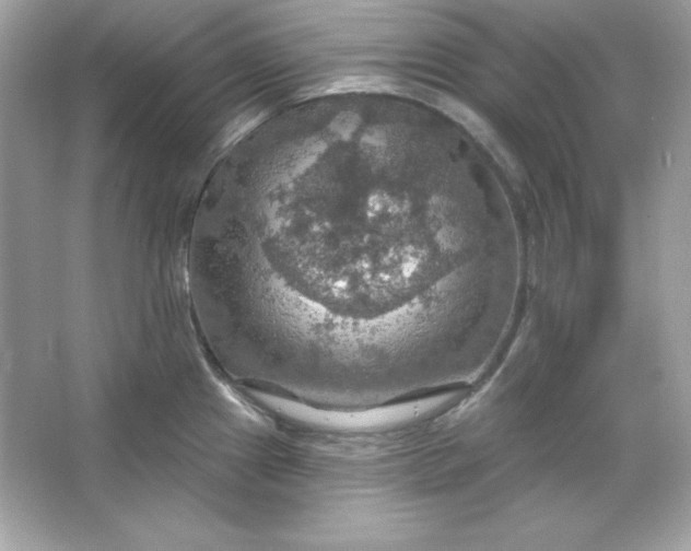 X0000066011241200603171457