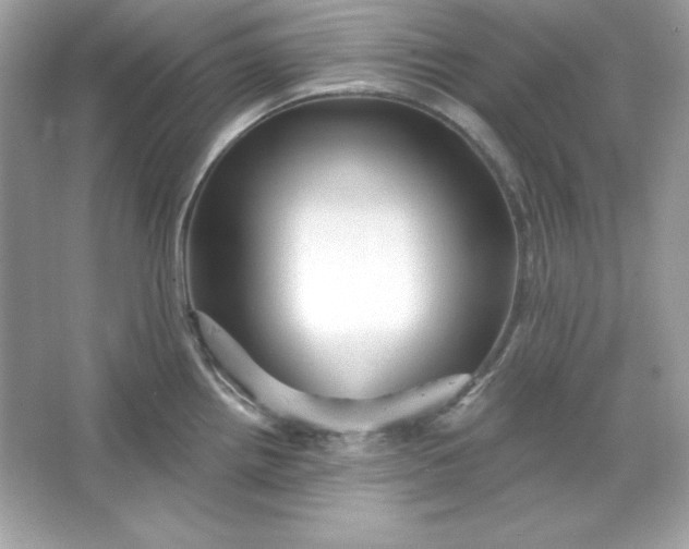 X0000066011242200603171457