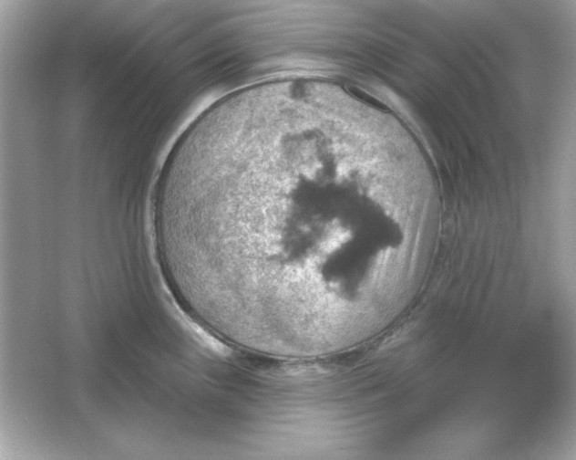 X0000066011243200603171457