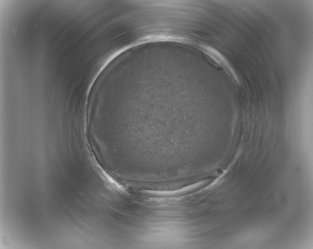 X0000066011244200603171457