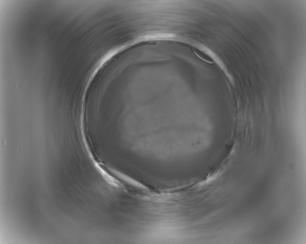 X0000066011245200603171457