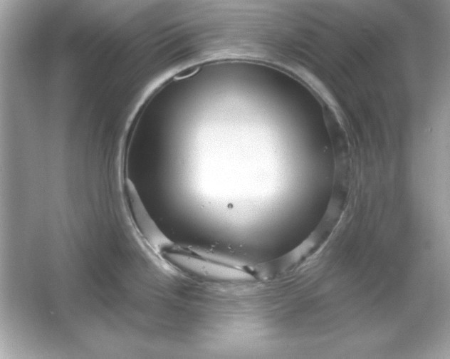 X0000066011246200603171457