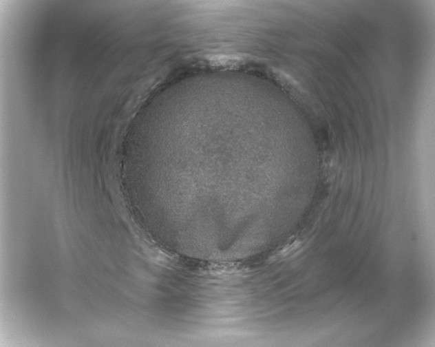 X0000066011249200603171457