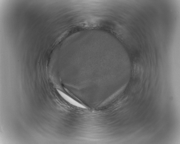 X0000066011250200603171457