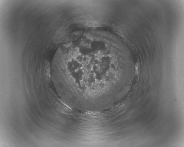 X0000066011251200603171457