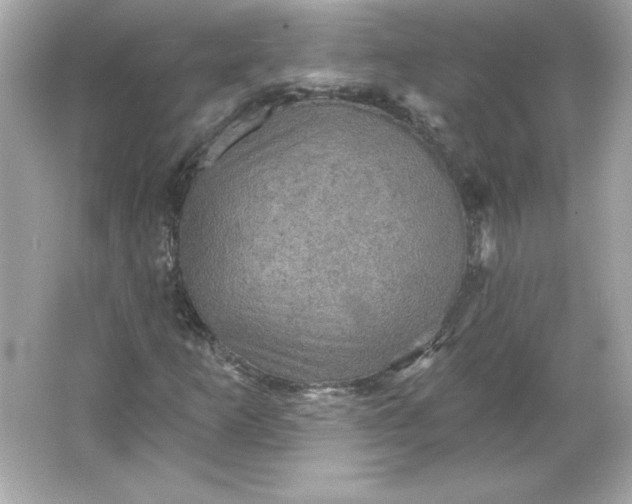 X0000066011253200603171457