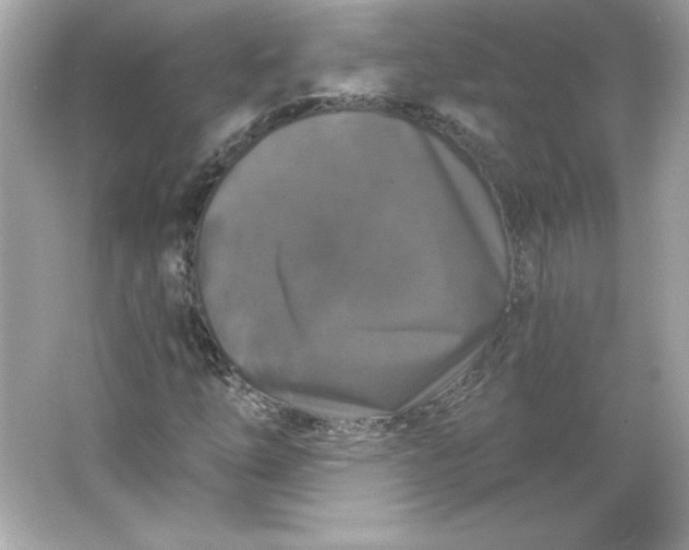 X0000066011254200603171457