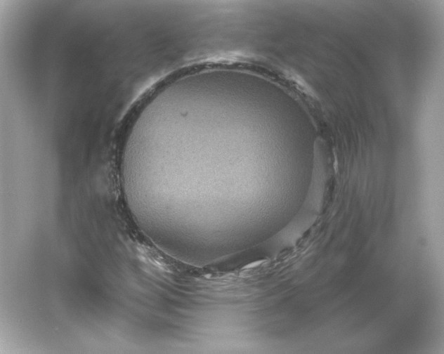 X0000066011256200603171457