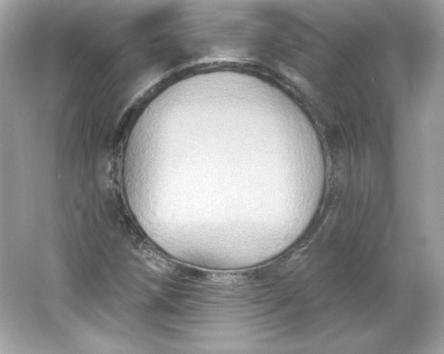 X0000066011258200603171457