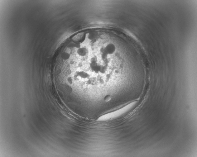 X0000066011259200603171456