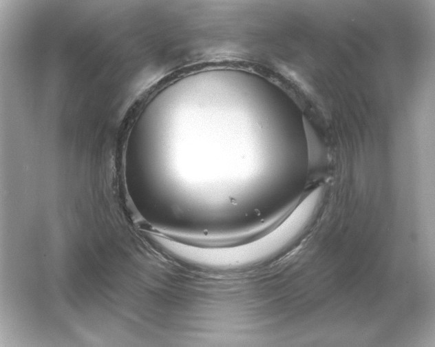 X0000066011261200603171456